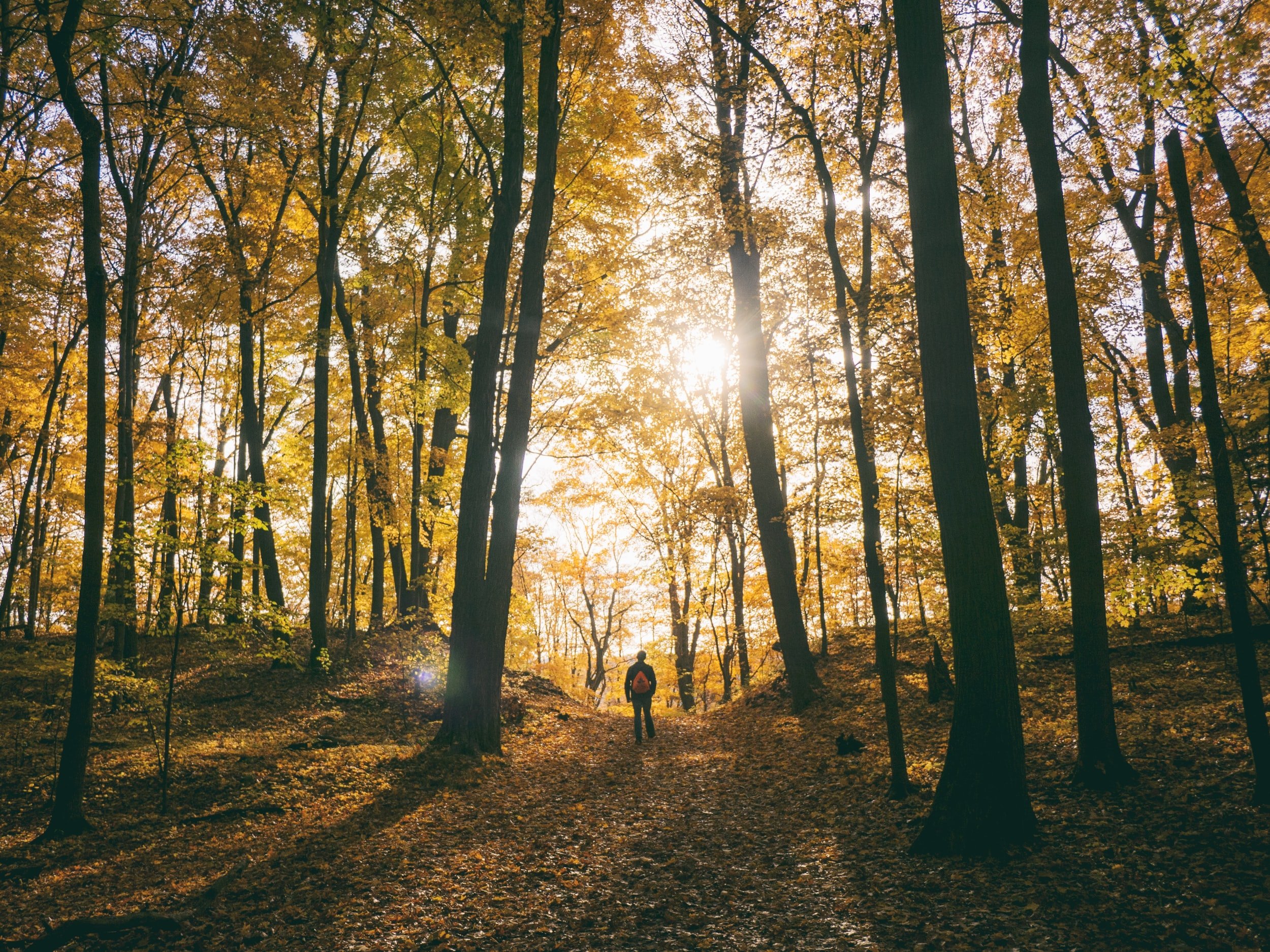 Looking ahead to fall admissions season? Start in january