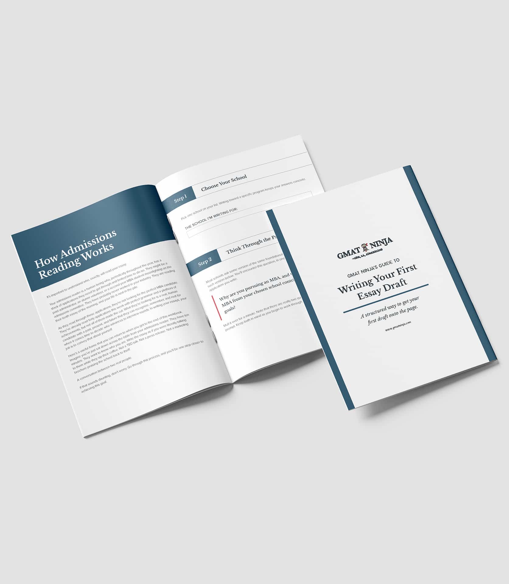 GMAT Ninja Essay Workbook