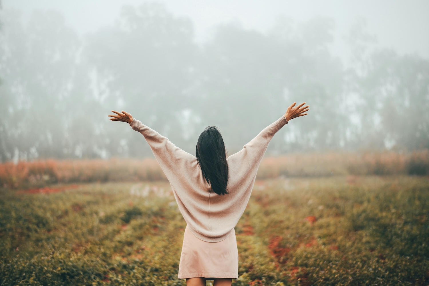 GMAT Tutors vs. Test Anxiety: Letting Go of the Number